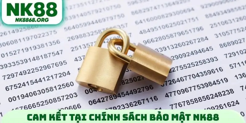 Cam kết tại chính sách bảo mật NK88