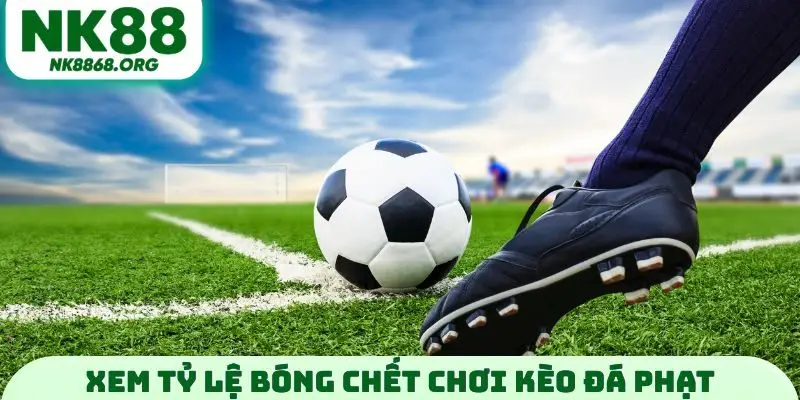 Xem tỷ lệ bóng chết chơi kèo đá phạt
